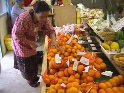旧直売所『きてら』店内